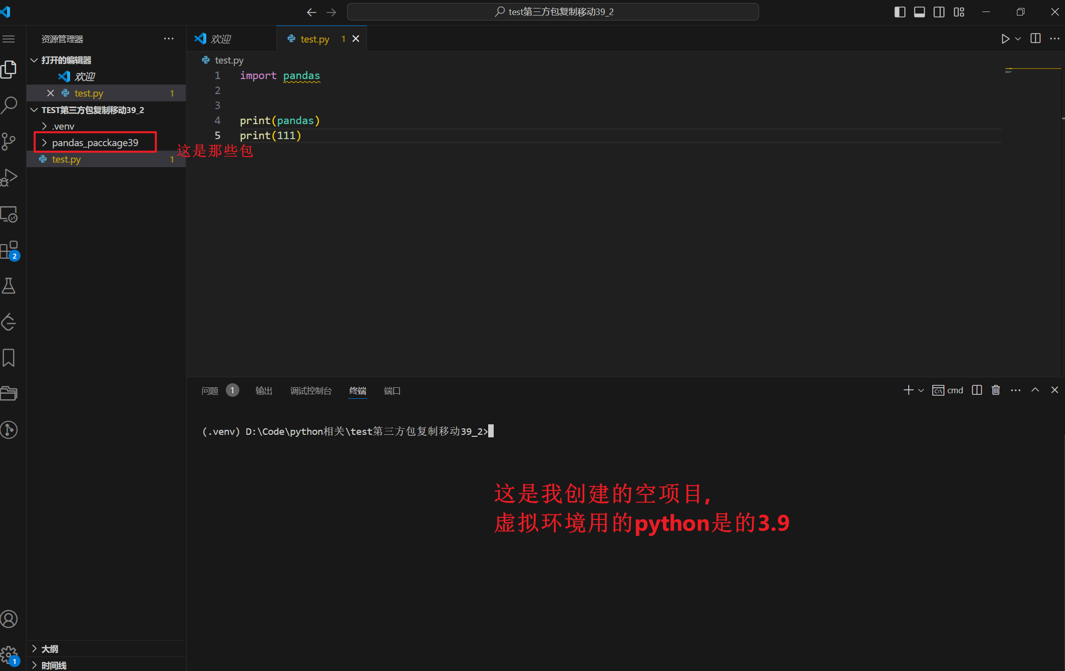 vscode创建py项目